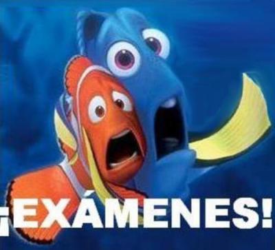 EXÁMENES